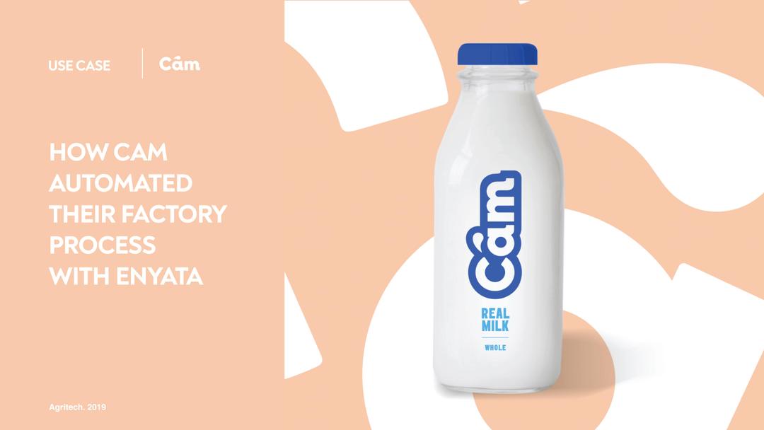 cam-dairy cover image